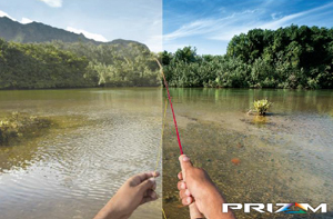 prizm water